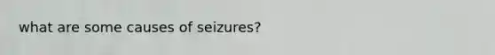 what are some causes of seizures?