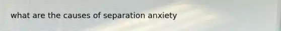 what are the causes of separation anxiety