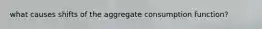 what causes shifts of the aggregate consumption function?