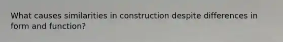 What causes similarities in construction despite differences in form and function?