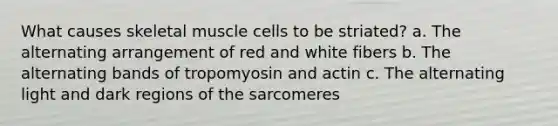 What causes skeletal muscle cells to be striated? a. The alternating arrangement of red and white fibers b. The alternating bands of tropomyosin and actin c. The alternating light and dark regions of the sarcomeres