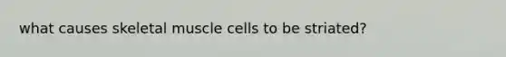 what causes skeletal muscle cells to be striated?