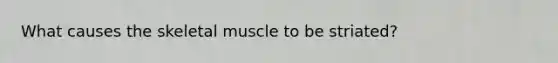 What causes the skeletal muscle to be striated?