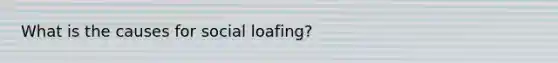 What is the causes for social loafing?