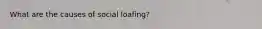 What are the causes of social loafing?