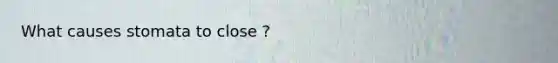 What causes stomata to close ?