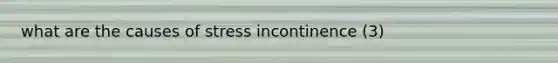 what are the causes of stress incontinence (3)