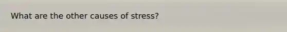 What are the other causes of stress?