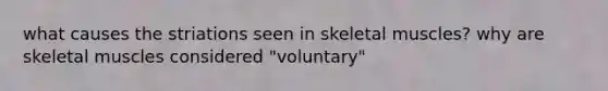 what causes the striations seen in skeletal muscles? why are skeletal muscles considered "voluntary"