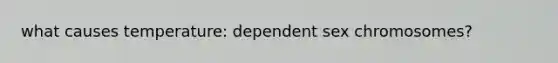 what causes temperature: dependent sex chromosomes?