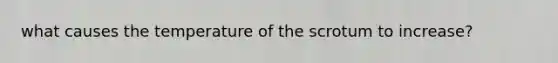 what causes the temperature of the scrotum to increase?