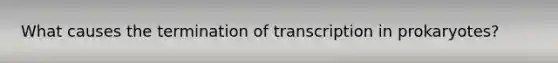 What causes the termination of transcription in prokaryotes?