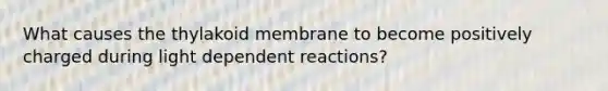 What causes the thylakoid membrane to become positively charged during light dependent reactions?