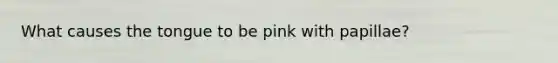 What causes the tongue to be pink with papillae?