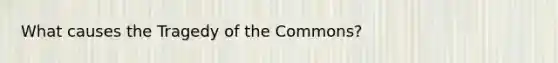 What causes the Tragedy of the Commons?