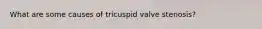 What are some causes of tricuspid valve stenosis?