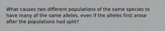 What causes two different populations of the same species to have many of the same alleles, even if the alleles first arose after the populations had split?