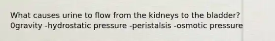 What causes urine to flow from the kidneys to the bladder? 0gravity -hydrostatic pressure -peristalsis -osmotic pressure