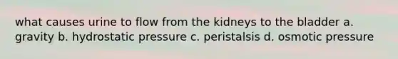 what causes urine to flow from the kidneys to the bladder a. gravity b. hydrostatic pressure c. peristalsis d. osmotic pressure