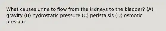 What causes urine to flow from the kidneys to the bladder? (A) gravity (B) hydrostatic pressure (C) peristalsis (D) osmotic pressure