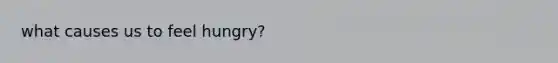 what causes us to feel hungry?