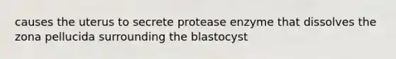 causes the uterus to secrete protease enzyme that dissolves the zona pellucida surrounding the blastocyst