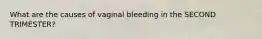 What are the causes of vaginal bleeding in the SECOND TRIMESTER?