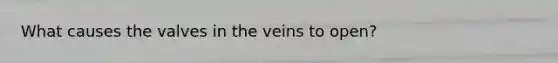 What causes the valves in the veins to open?