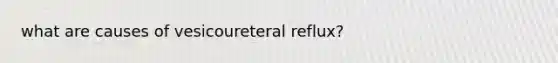 what are causes of vesicoureteral reflux?