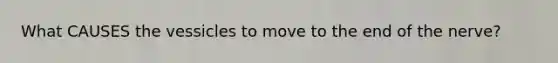 What CAUSES the vessicles to move to the end of the nerve?