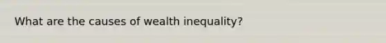 What are the causes of wealth inequality?