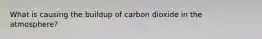 What is causing the buildup of carbon dioxide in the atmosphere?