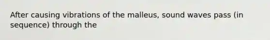 After causing vibrations of the malleus, sound waves pass (in sequence) through the