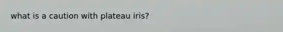 what is a caution with plateau iris?