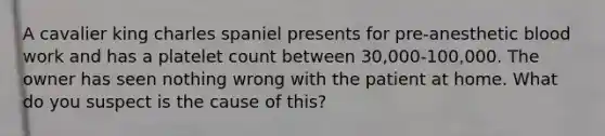 A cavalier king charles spaniel presents for pre-anesthetic blood work and has a platelet count between 30,000-100,000. The owner has seen nothing wrong with the patient at home. What do you suspect is the cause of this?