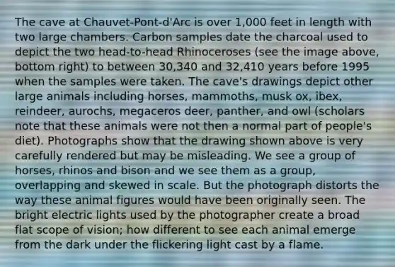 The cave at Chauvet-Pont-d'Arc is over 1,000 feet in length with two large chambers. Carbon samples date the charcoal used to depict the two head-to-head Rhinoceroses (see the image above, bottom right) to between 30,340 and 32,410 years before 1995 when the samples were taken. The cave's drawings depict other large animals including horses, mammoths, musk ox, ibex, reindeer, aurochs, megaceros deer, panther, and owl (scholars note that these animals were not then a normal part of people's diet). Photographs show that the drawing shown above is very carefully rendered but may be misleading. We see a group of horses, rhinos and bison and we see them as a group, overlapping and skewed in scale. But the photograph distorts the way these animal figures would have been originally seen. The bright electric lights used by the photographer create a broad flat scope of vision; how different to see each animal emerge from the dark under the flickering light cast by a flame.