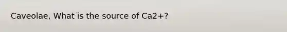 Caveolae, What is the source of Ca2+?