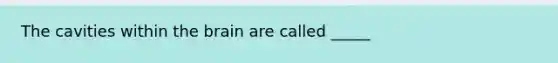 The cavities within <a href='https://www.questionai.com/knowledge/kLMtJeqKp6-the-brain' class='anchor-knowledge'>the brain</a> are called _____
