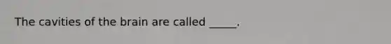 The cavities of the brain are called _____.