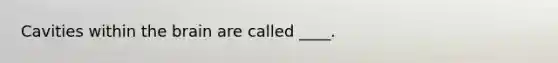 Cavities within the brain are called ____.