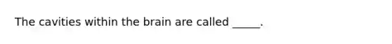 The cavities within <a href='https://www.questionai.com/knowledge/kLMtJeqKp6-the-brain' class='anchor-knowledge'>the brain</a> are called _____.