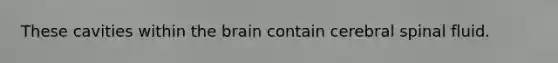 These cavities within the brain contain cerebral spinal fluid.