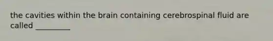 the cavities within the brain containing cerebrospinal fluid are called _________