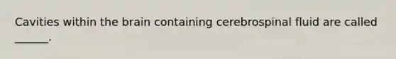 Cavities within the brain containing cerebrospinal fluid are called ______.