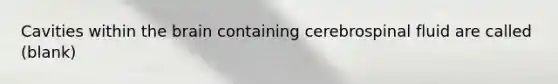 Cavities within the brain containing cerebrospinal fluid are called (blank)