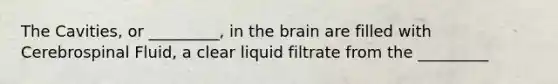 The Cavities, or _________, in the brain are filled with Cerebrospinal Fluid, a clear liquid filtrate from the _________