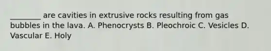 ________ are cavities in extrusive rocks resulting from gas bubbles in the lava. A. Phenocrysts B. Pleochroic C. Vesicles D. Vascular E. Holy