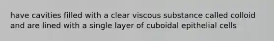 have cavities filled with a clear viscous substance called colloid and are lined with a single layer of cuboidal epithelial cells