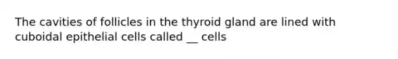 The cavities of follicles in the thyroid gland are lined with cuboidal epithelial cells called __ cells