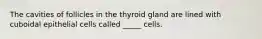 The cavities of follicles in the thyroid gland are lined with cuboidal epithelial cells called _____ cells.